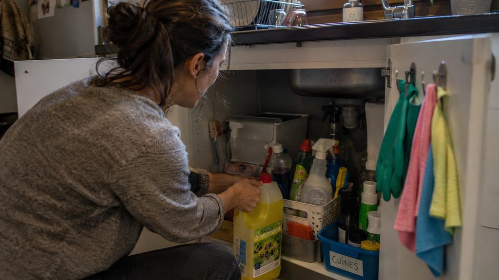 Armario bajo el fregadero con productos de limpieza profesional ordenados en una casa de Andorra